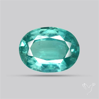 High Grade Faceted Paraiba Blue Kyanite Fine Gemstone