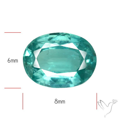 High Grade Faceted Paraiba Blue Kyanite Fine Gemstone