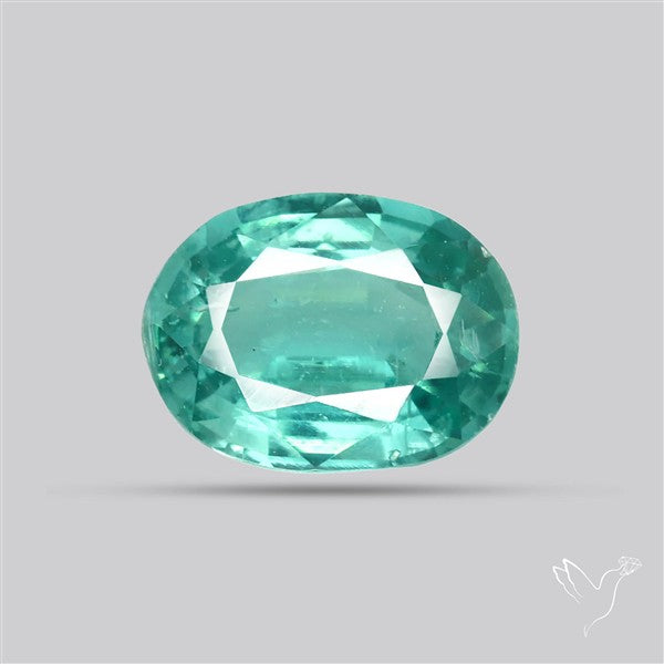 High Grade Faceted Paraiba Blue Kyanite Fine Gemstone