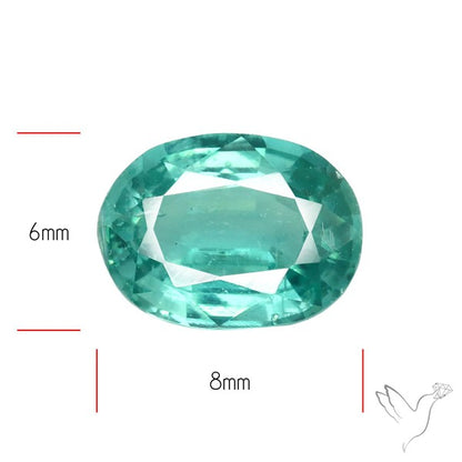 High Grade Faceted Paraiba Blue Kyanite Fine Gemstone
