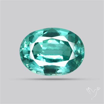 High Grade Faceted Paraiba Blue Kyanite Fine Gemstone