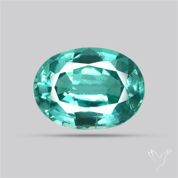 High Grade Faceted Paraiba Blue Kyanite Fine Gemstone