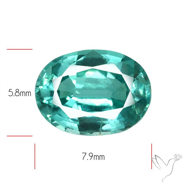 High Grade Faceted Paraiba Blue Kyanite Fine Gemstone