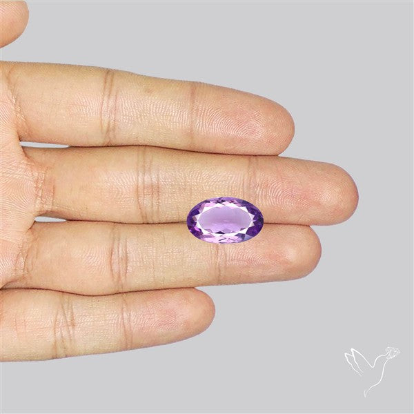 Brazilian Amethyst Clear Faceted Fine Gemstone