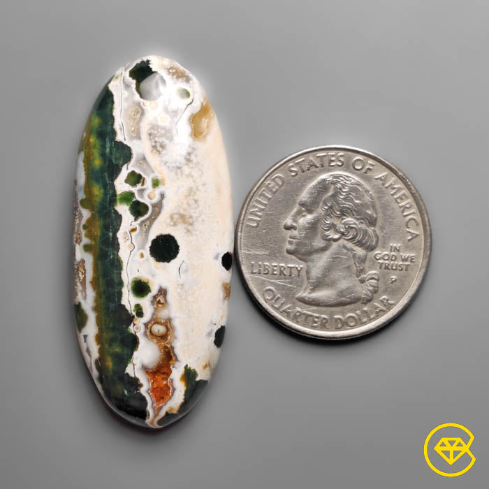Orbicular Ocean Jasper Cabochon