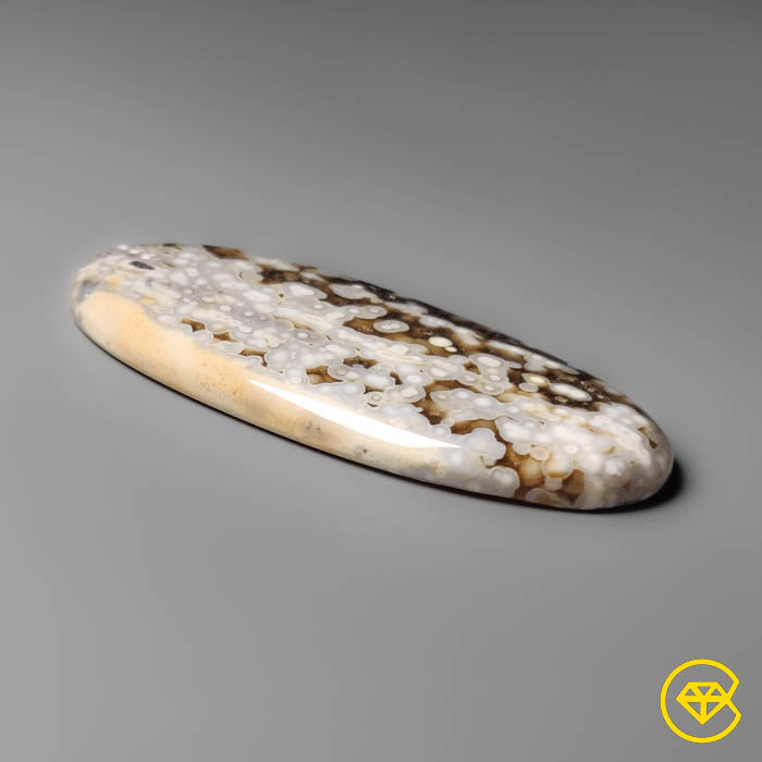 Orbicular Ocean Jasper Cabochon