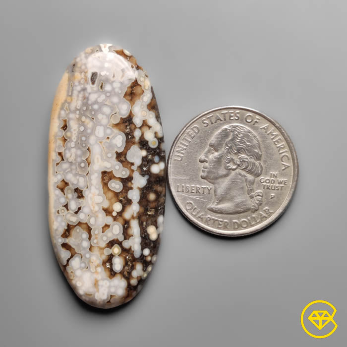 Orbicular Ocean Jasper Cabochon