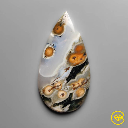 Ocean Jasper