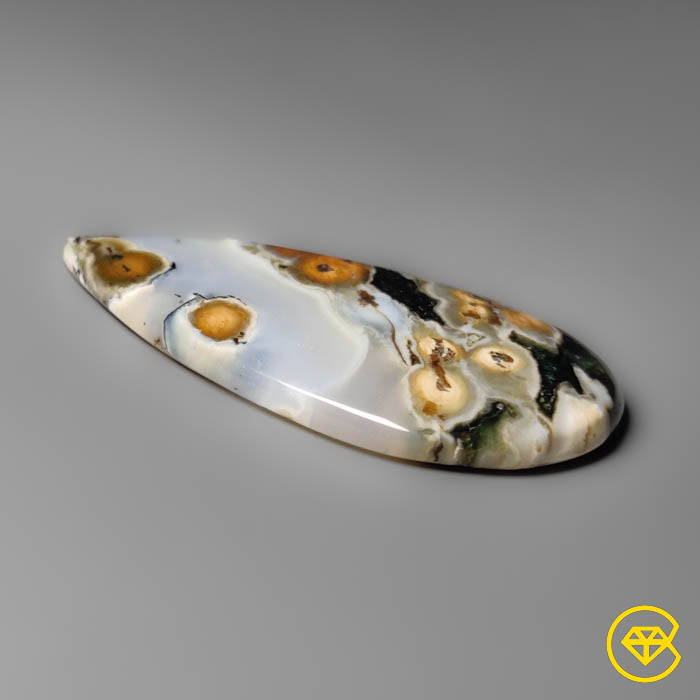 Orbicular Ocean Jasper Cabochon