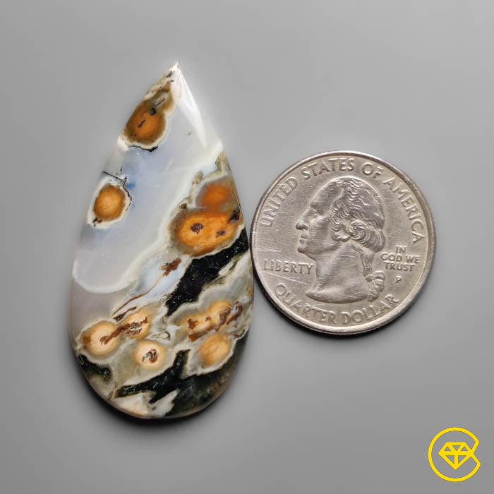 Orbicular Ocean Jasper Cabochon