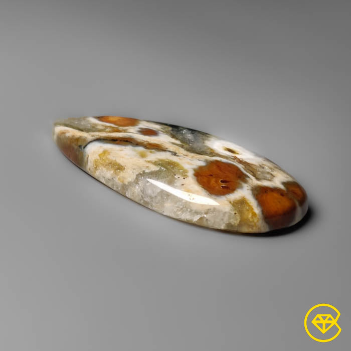 Orbicular Ocean Jasper Cabochon
