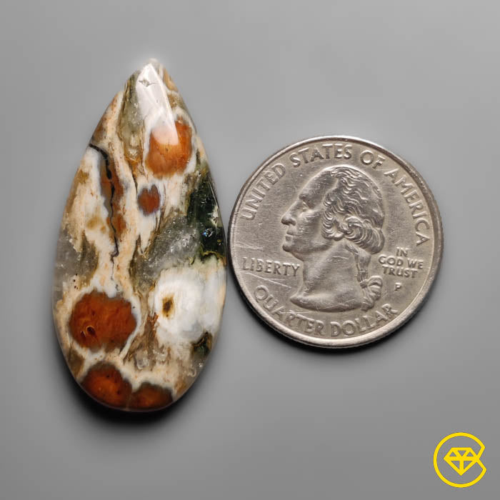 Orbicular Ocean Jasper Cabochon