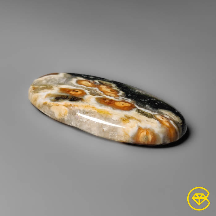 Orbicular Ocean Jasper Cabochon