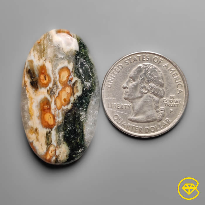 Orbicular Ocean Jasper Cabochon