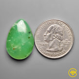 Gemmy Chrysoprase Cabochon