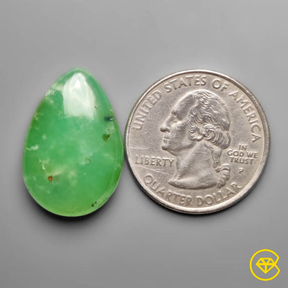 Gemmy Chrysoprase Cabochon