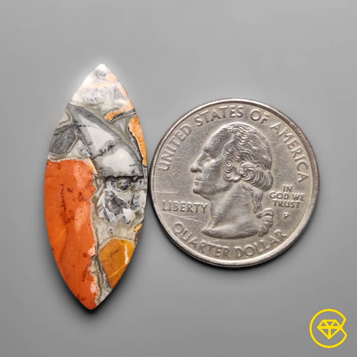 Maligano Jasper Cabochon