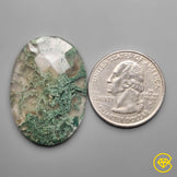 Checkerboard Cut Horse Canyon Moss Agate