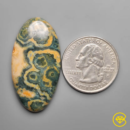 Orbicular Ocean Jasper Cabochon