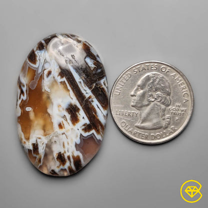 Turkish Tube Agate Cabochon