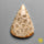 Fossil Coral
