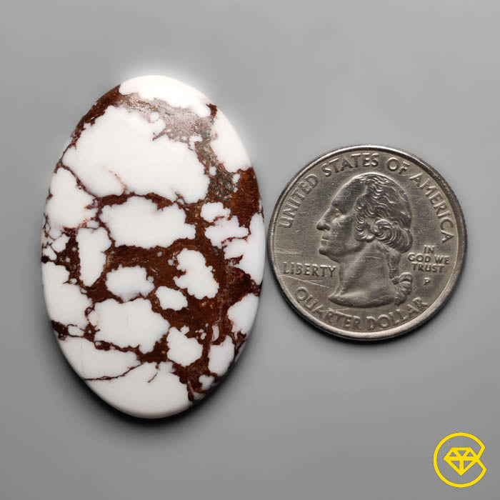Wild Horse Jasper Cabochon