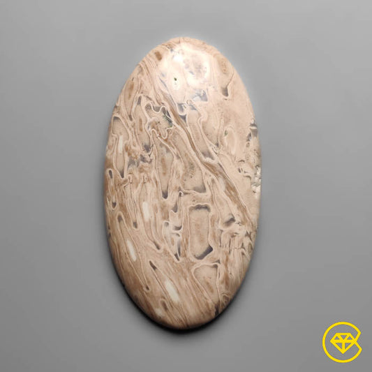 Palmroot