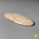 Indonesian Palmroot Cabochon