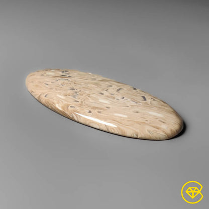 Indonesian Palmroot Cabochon