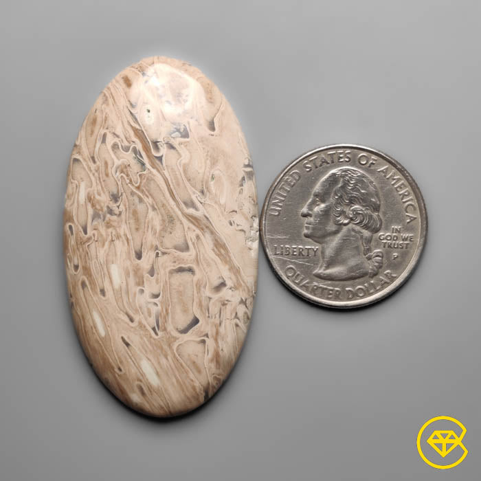 Indonesian Palmroot Cabochon