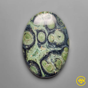 Galaxy Kambaba Jasper Cabochon