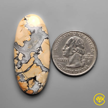 Maligano Jasper Cabochon