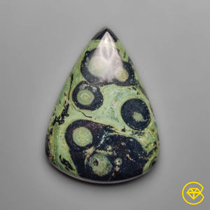 Galaxy Kambaba Jasper Cabochon