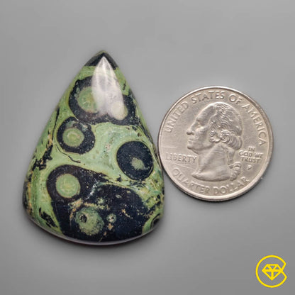 Galaxy Kambaba Jasper Cabochon