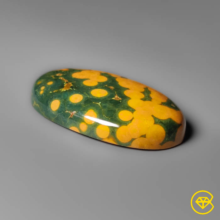Orbicular Ocean Jasper Cabochon
