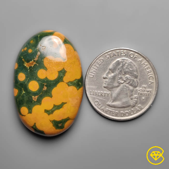 Orbicular Ocean Jasper Cabochon
