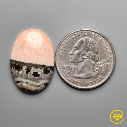 Celestobarite Cabochon