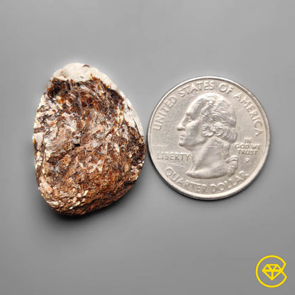 Raw Face Astrophyllite