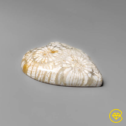 Fossil Coral Heart Carving