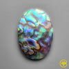 Abalone Shell