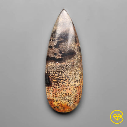 Sagebrush Jasper