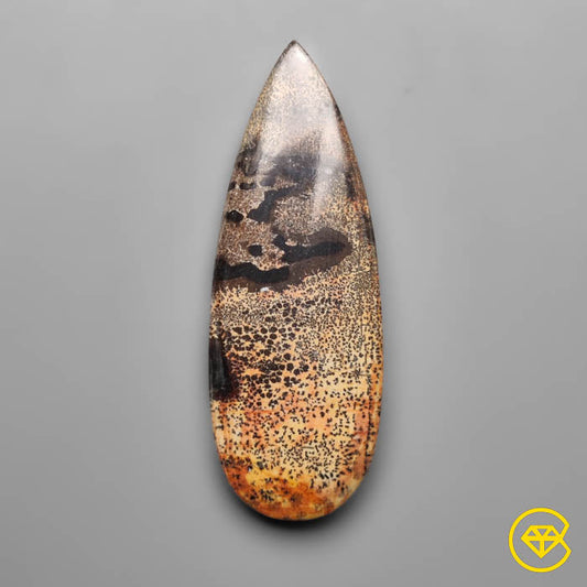 Sagebrush Jasper