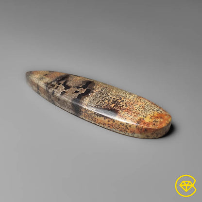 Sagebrush Jasper