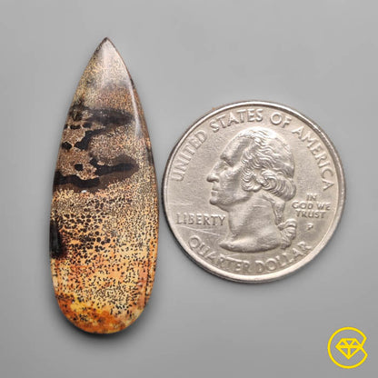 Sagebrush Jasper