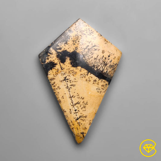 Sagebrush Jasper