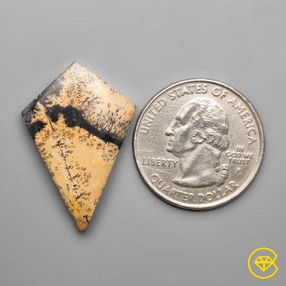 Sagebrush Jasper
