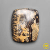 Sagebrush Jasper