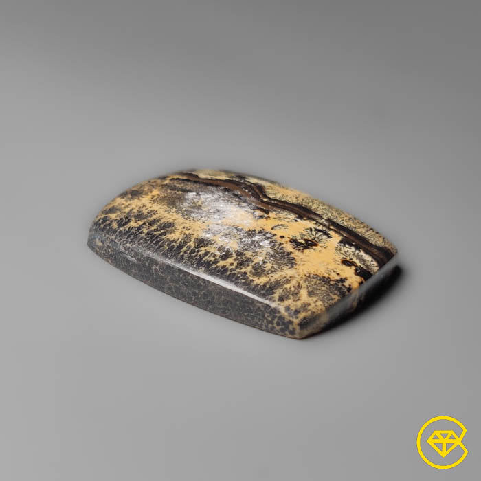 Sagebrush Jasper