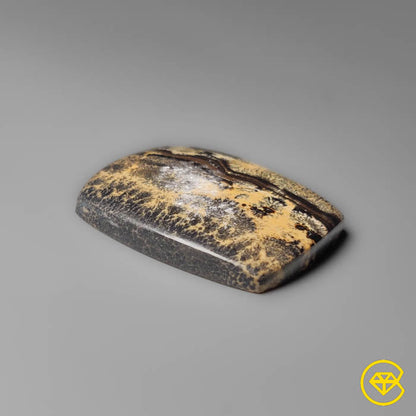 Sagebrush Jasper