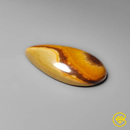 Owyhee Wild Horse Picture Jasper